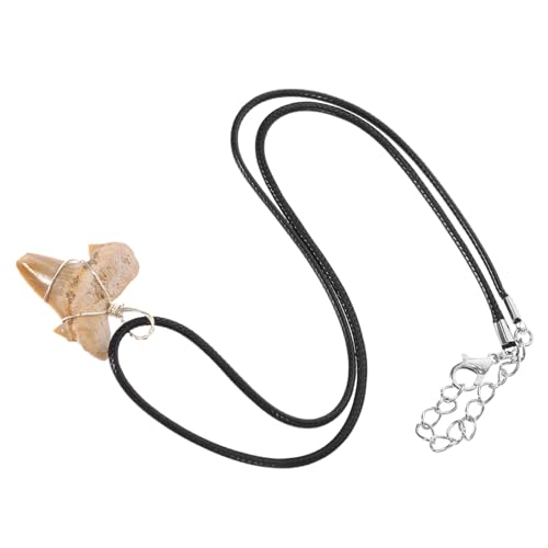 Abaodam Haifischzahn Anhänger Herren Surfer Halskette Mit 2-2,5cm Fossilem Haizahn Aus Silberdraht Und Lederband Outdoor Schmuck Geschenk Idee