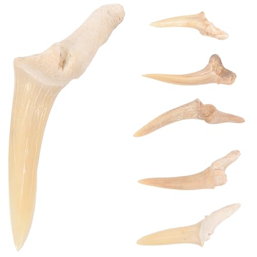 ifundom Haifischzahn Halskette für Männer – 6 Stück mit Handgefertigtem Fossilem Anhänger Verstellbares Lederband Schmuck für Strandpartys und Alltag