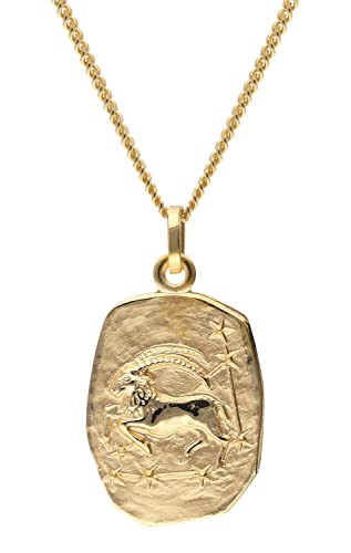 trendor Steinbock Sternzeichen Gold 333 mit vergoldeter Silberkette 15404-01-60 60 cm