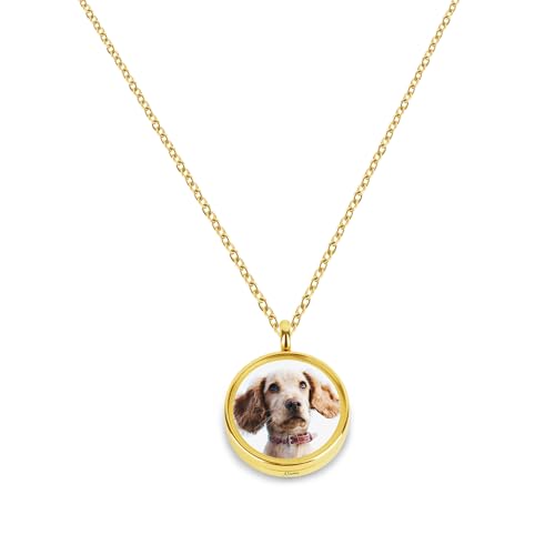 Liskanap Personalisiert Haustiere Urne Medaillon Halskette mit Foto Text Name Hund und Katze Tierhaar Anhänger Kette für Asche Haustier Verlust Andenken Geschenke Gedenken Memorial Edelstahl (Gold)