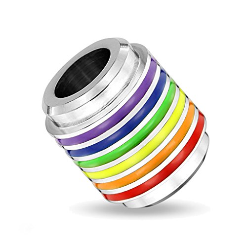 BlackAmazement Anhänger 316L Edelstahl Regenbogen Rainbow Tube Lederband Halskette Silber Pride (Anhänger mit Lederkette)