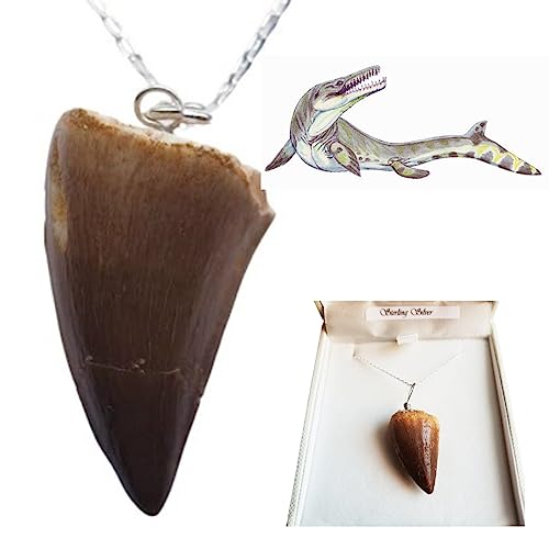 Jurassic Jewellery Fossil Mosasaur-Zahn-Halskette – extintiert Krokodil